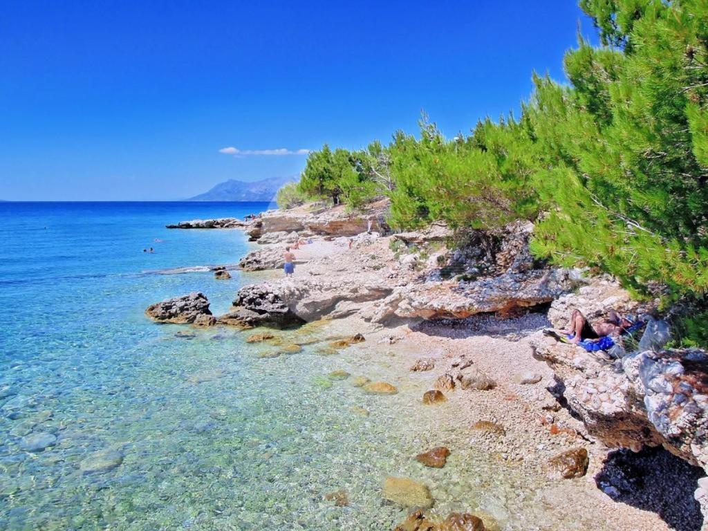 Apartments Jelka Promajna Εξωτερικό φωτογραφία